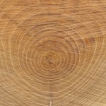 bois-2