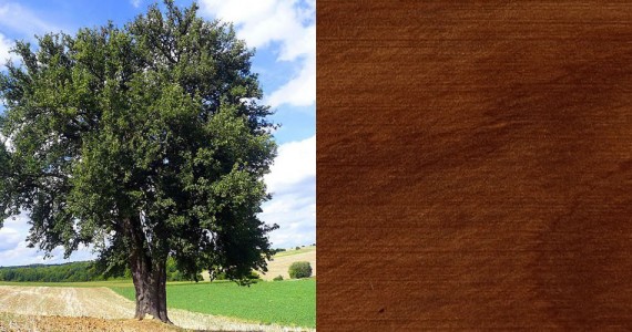 Poirier - Essence bois