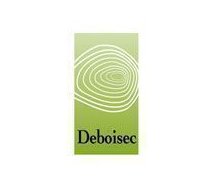 Devis Dassaud