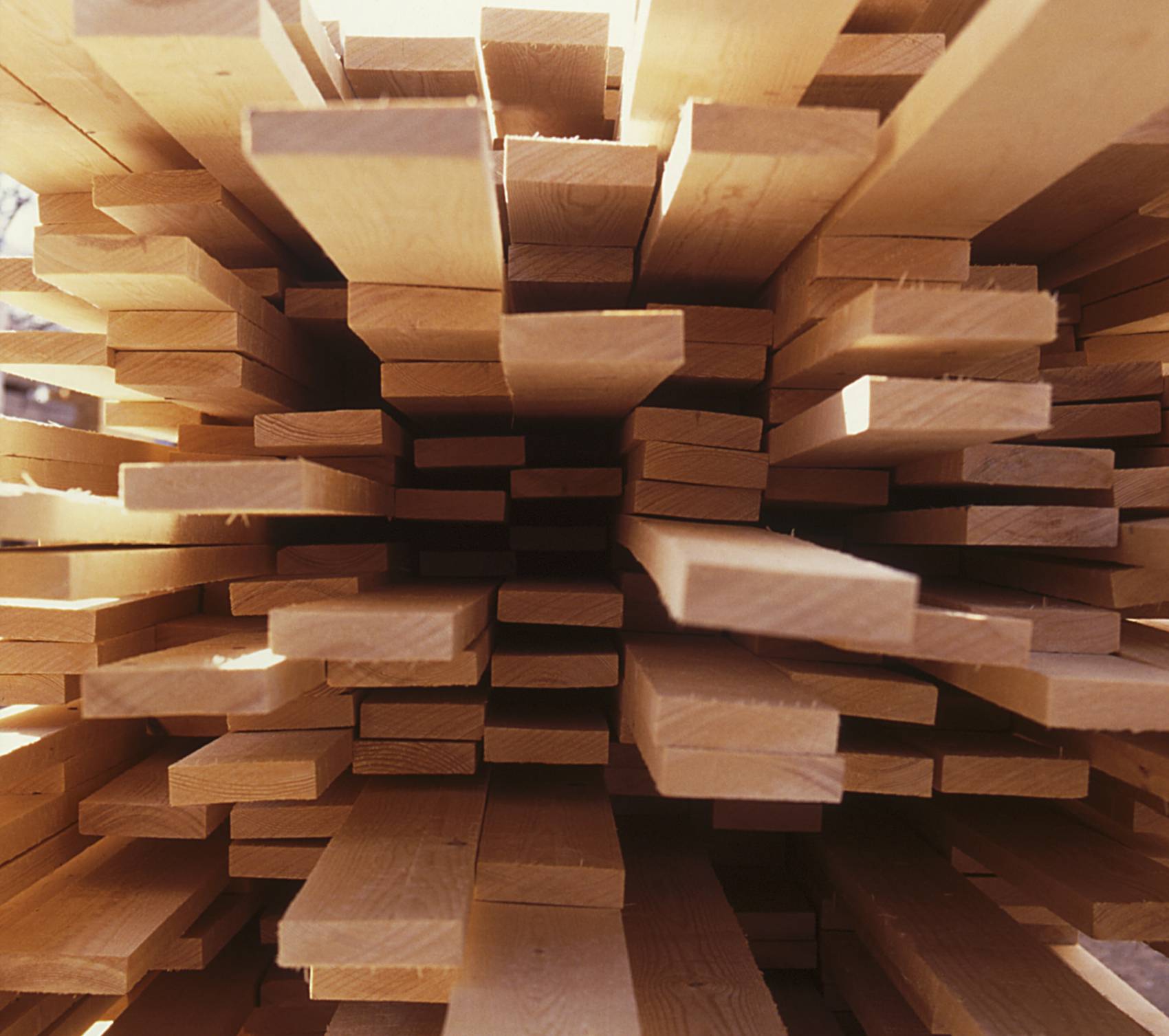 Construction bois